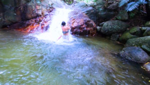 3339e62edf6bec12542edcddb3e5a1d3