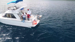 38d941e72d819412d35fe6c0756ef5da