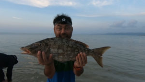 b34c3ee861ae4339de2512bc2032f364